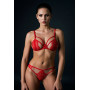Комплект Passion ANUVERA SET fire brick M