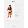 Комплект Obsessive Medilla 2-pcs set XL/2XL