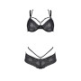 Комплект Passion DROSERA BIKINI black, L/XL, бюстгальтер і трусики-кюлоти