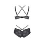 Комплект Passion DROSERA BIKINI black, S/M, бюстгальтер і трусики-кюлоти
